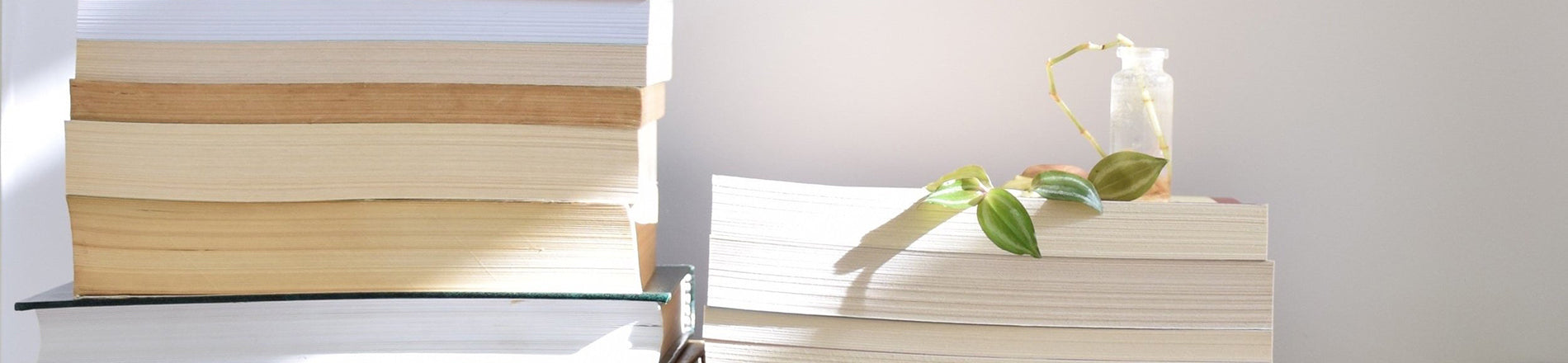 წიგნები