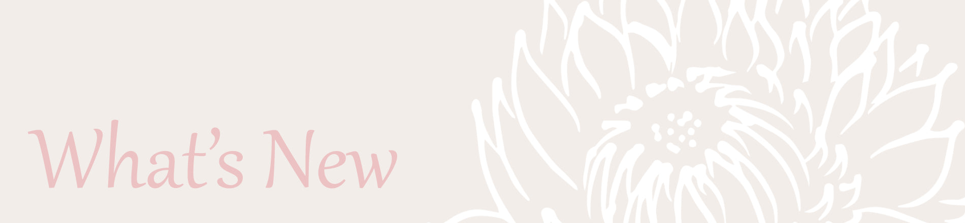 ახალი კოლექცია