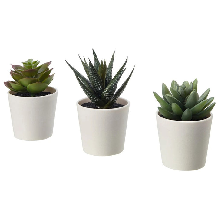Artificial Plants